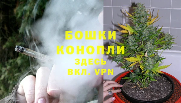 ECSTASY Аркадак