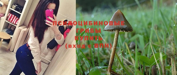 гидропоника Армянск