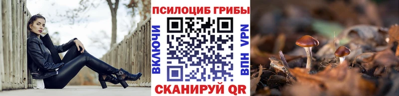 Галлюциногенные грибы Magic Shrooms Инсар