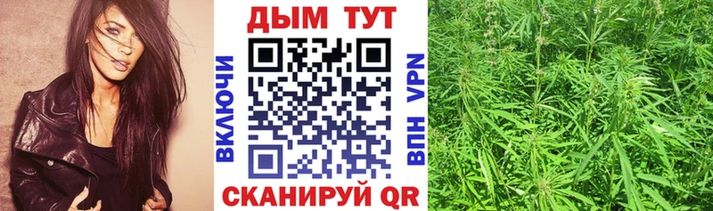 Канабис план  закладка  Инсар 